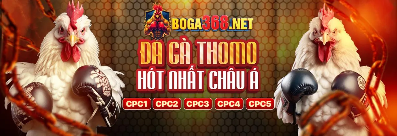 Đá gà trực tuyến xanh9 nhà cái 2026